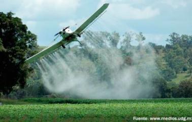 Día mundial contra el uso indiscriminado de Agroquímicos