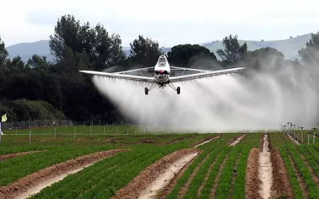 Diputados convocará al Senado y al Ejecutivo para avanzar en una nueva ley de agroquímicos