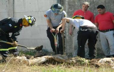 Allanaron una vivienda en busca de restos humanos en Bermúdez