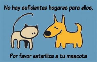 Campaña de esterilización de mascotas en Timbúes