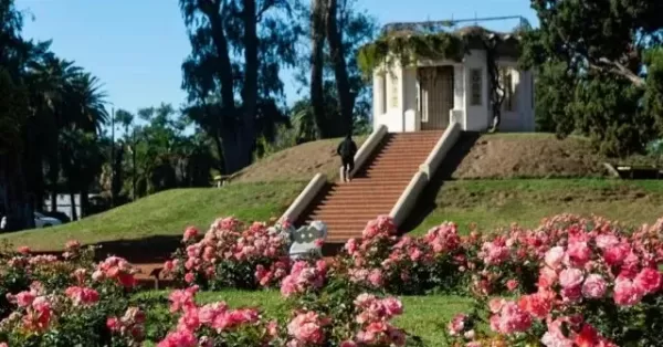 Rosario: entregarán esquejes de rosas en el Parque Independencia