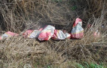 Encontraron cerca de una decena de bolsas con animales muertos