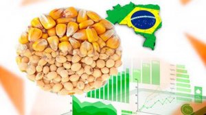 El paro aceitero está favoreciendo la demanda de harina y aceite de Brasil