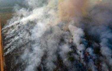 El humo de los incendios en la selva del Amazonas podría llegar a la regió