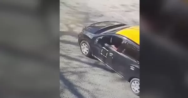 Indignación en Villa Gobernador Gálvez: un taxista atropelló y mató a “Negrito”, el perro querido del barrio