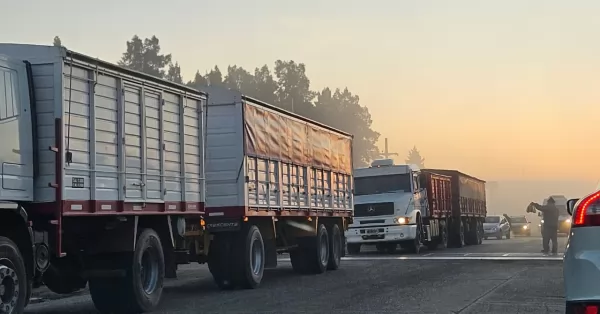 Cosecha Gruesa: aumenta la cantidad de camiones que llegan a las terminales portuarias del Cordón