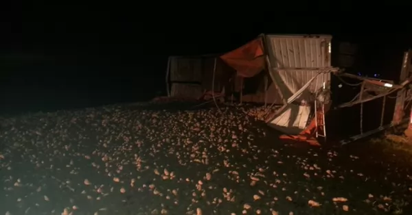 Un camión volcó y llenó de papas la autopista