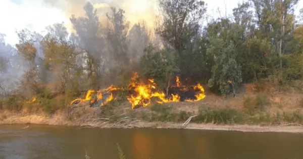 Incendios en el Carcarañá: cerca de 20 hectáreas fueron arrasadas por el fuego en Oliveros y Timbúes