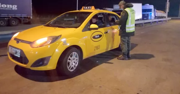 Pasajeros de un taxi transportaban cocaína, marihuana y hongos alucinógenos