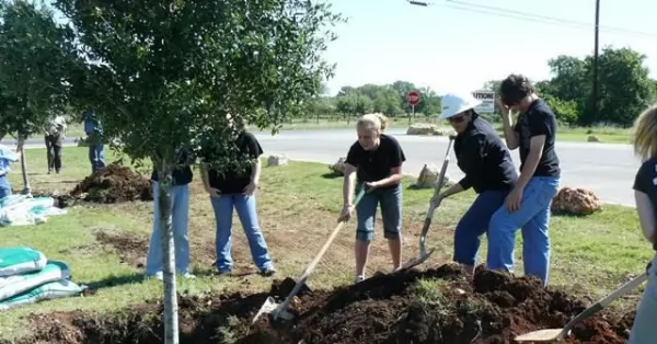 Convocan a voluntarios para plantar árboles en el Bosque de los Constituyentes