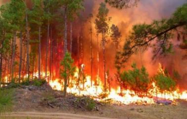 Cientos de evacuados en córdoba por el incendio forestal  