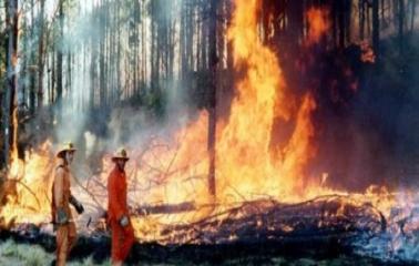 Córdoba: Tres focos controlados, sólo queda uno por apagar