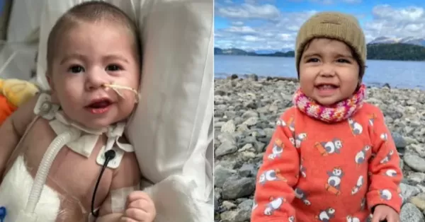 Un corazón para Felipe: dos nenes compartían cuarto en un Hospital y uno le donó su corazón al otro