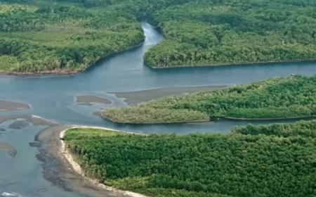 Buenos Aires declaró emergencia hídrica en el Delta del Río Paraná