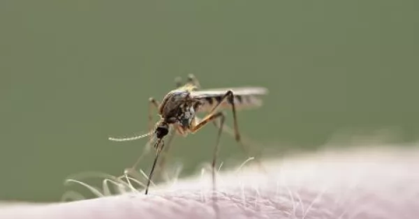 El Ministerio de Salud culpó al gobierno anterior por la propagación del dengue
