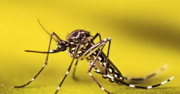 Se desaceleran los contagios de Dengue y suman 420 mil en lo que va de 2024 en el país