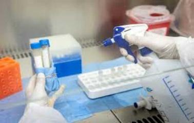 Coronavirus en Argentina: confirman 146 nuevos casos y el total de muertes llega a 24