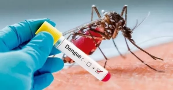 Dengue: continúa el incremento de casos en Santa Fe 
