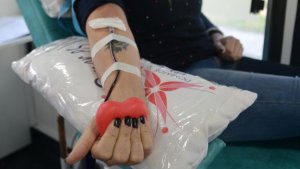 Rosario realizará una jornada por el Día Nacional del Donante de Sangre