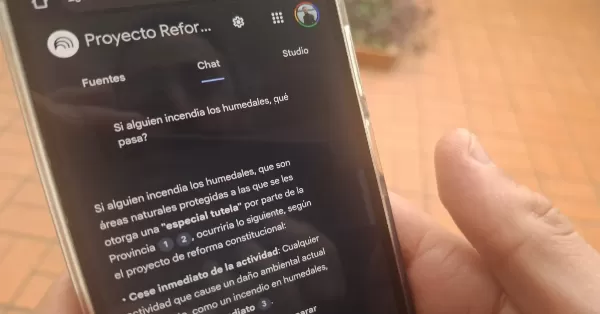 Reforma Constitucional: El Partido Socialista pone a disposición su propuesta en una plataforma inteligente