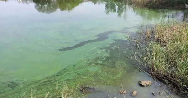 Alertan sobre manchas fluorescentes en el Paraná, y recomiendan no bañarse 