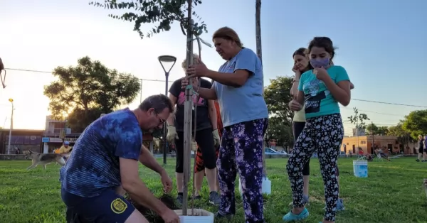 Bermúdez: Plantarán árboles para homenajear a ex combatientes de Malvinas