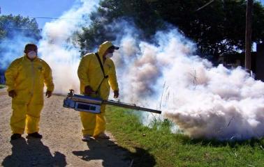 Continúan con la campaña de fumigación en espacios verdes de San Lorenzo