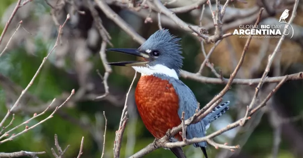 El Parque Nacional Islas de Santa Fe será parte de un evento mundial de avistaje de aves