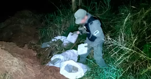 Gendarmería incautó 83 kilos de marihuana ocultos entre vegetación en Misiones