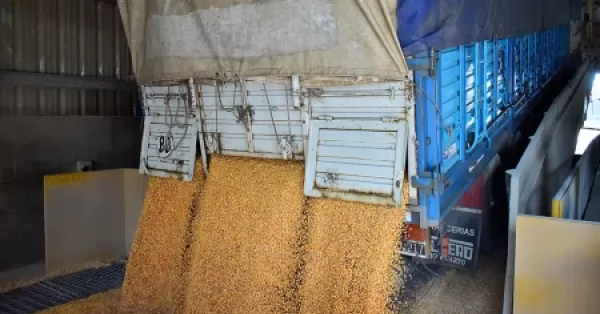 Recibidores de granos iniciaron la semana con un paro en los puertos de la región