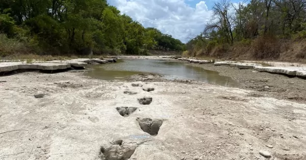 Descubren huellas de dinosaurio en un río seco de Estados Unidos