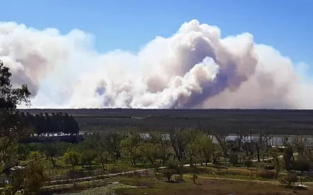 Quema en las islas: se registraron incendios frente a Villa Constitución