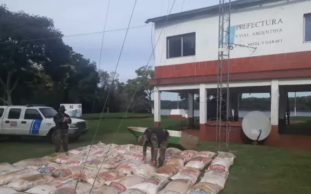 La PNA evitó el contrabando de cuatro toneladas de soja