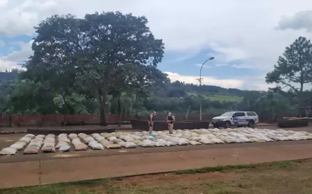La Prefectura incautó 11 toneladas de granos de soja ilegal