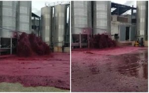 Se derramaron 50 mil litros de vino tras reventarse un depósito en España