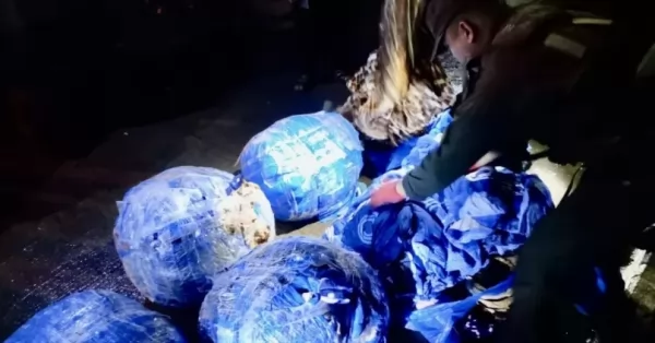 Encontraron 19 kilos de cocaína en un ómnibus de “tour de compras”