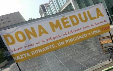 Día Nacional del Donante de Médula Ósea