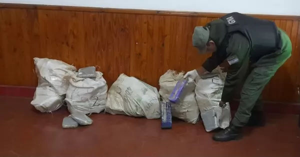 Hallaron 129 kilos de marihuana escondidos entre la maleza en Puerto Esperanza