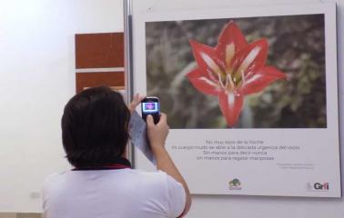 Con gran éxito, se desarrolla la 12º exposición de fotografías de Bermúdez