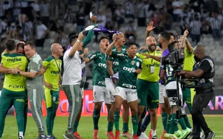 Palmeiras es finalista de la Copa Libertadores