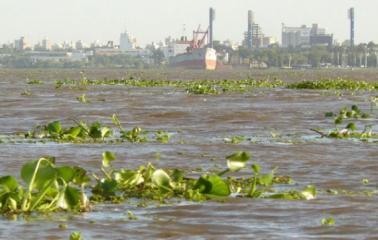 Los picos de la creciente del Paraná solo llegarían a niveles de alerta