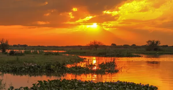 Reforma Constitucional: proponen una cláusula ambiental para la nueva Carta Magna