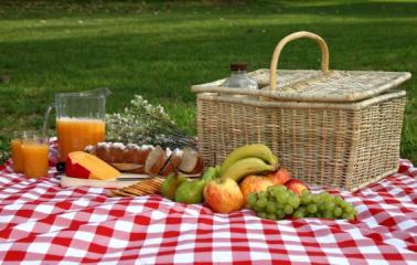 La ASSAL recomienda cómo disfrutar un picnic sin peligro
