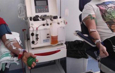 Covid-19: pacientes recuperados donarán plasma para la realización de análisis de anticuerpos en San Lorenzo
