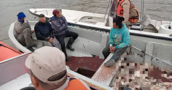 Prefectura secuestró más de 900 kilos de sábalo que fueron capturados en el Río Luján