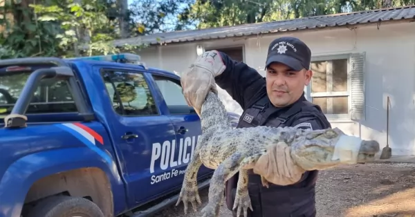 La Policía Ecológica recibe semanalmente unas 15 órdenes judiciales por maltrato animal en el Gran Rosario