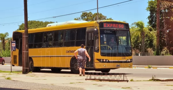 Transporte: la concejal Antonella García pide convocar a Rosario Bus a una mediación por las quejas de los usuarios