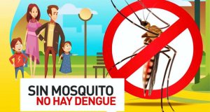 Dengue: recomendaciones para evitar la aparición del mosquito