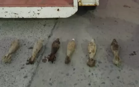 Encontraron seis proyectiles de mortero en la costa del Paraná en Capitán Bermúdez 