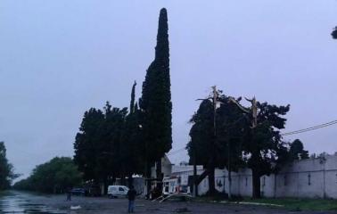 Un rayo impactó un árbol frente al cementerio y afectó una construcción cercana